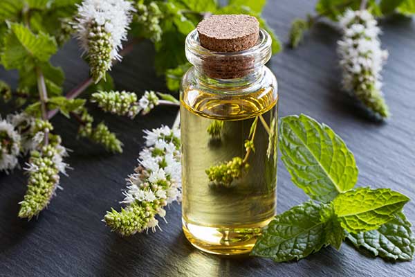 Aromathérapie Aromathérapie